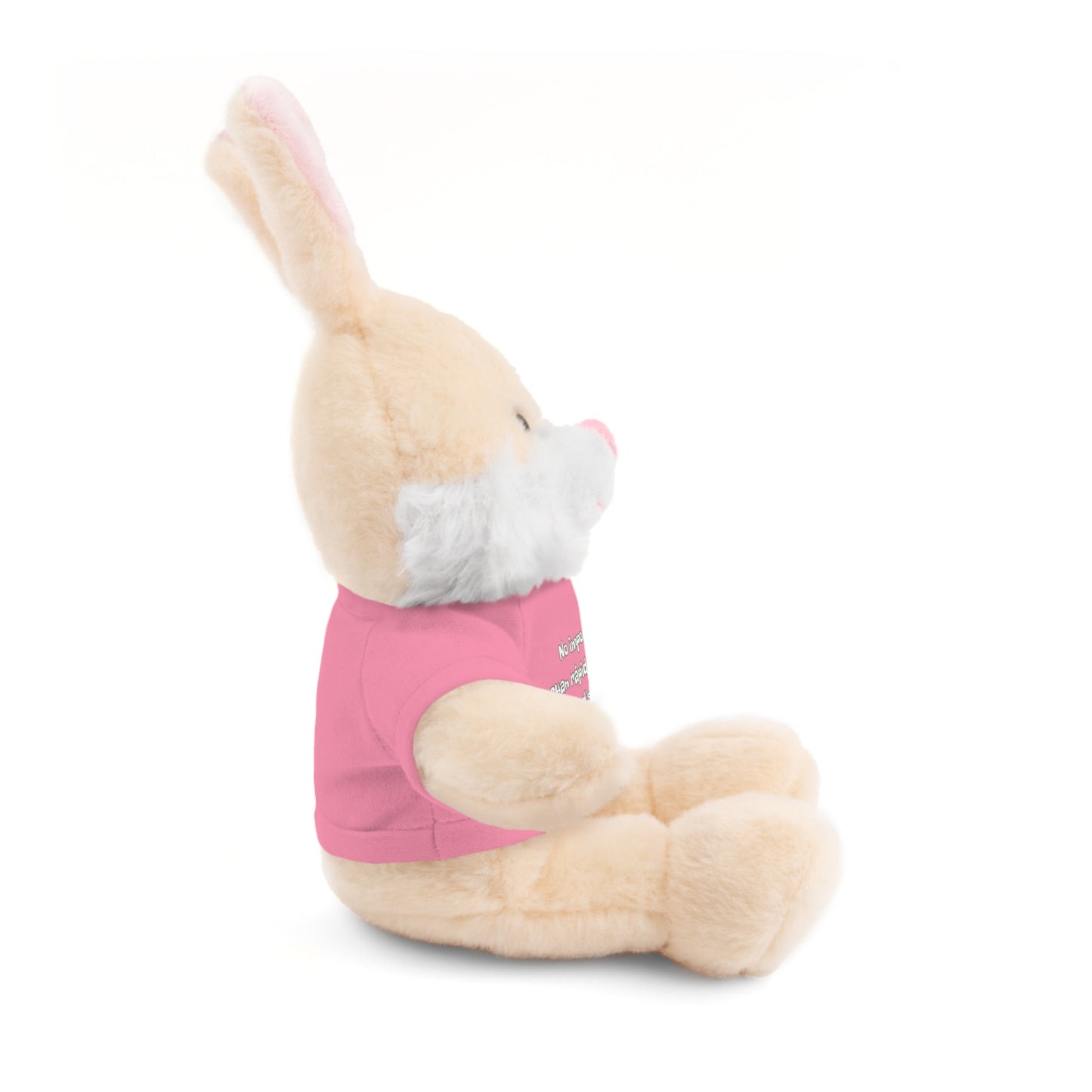 Conejito de Peluche “No importa cuan rápido vaya, necesito la bendición de Dios”